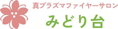 真プラズマファイヤーサロンみどり台